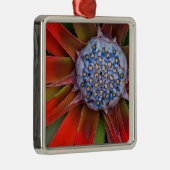 Midden van een bloeiende agave - San Francisco Metalen Ornament (Rechts)