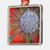 Midden van een bloeiende agave - San Francisco Metalen Ornament (Links)