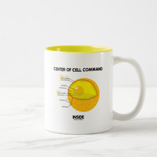 Midden van het celcommando binnen (nucleus) tweekleurige koffiemok