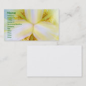 Midden van het universum visitekaartje (Voorkant / Achterkant)