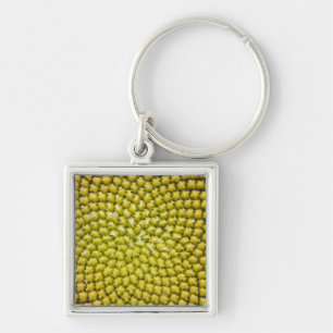 Midden van reusachtige zonnebloem (Helianthus annu Sleutelhanger