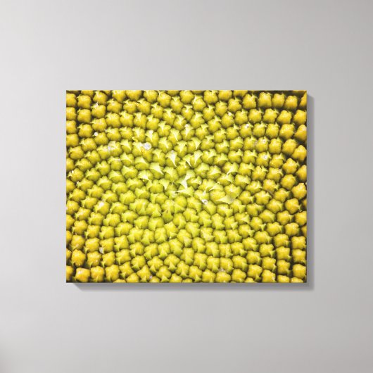 Midden van reuzenzonnebloem (Helianthus annuus) Canvas Afdruk (Voorkant)