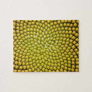 Midden van reuzenzonnebloem (Helianthus annuus) Legpuzzel