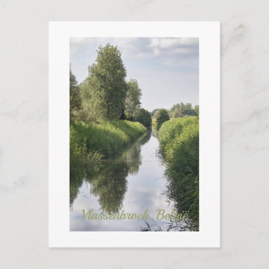 Midden zomer in Vlassenbroek, België Briefkaart (Voorkant)