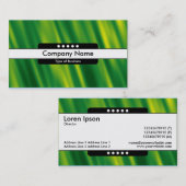 Middenband 5 Spots - Groene cascade Visitekaartje (Voorkant / Achterkant)