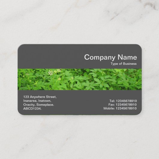 Middenband (DK Grey) - Ondergroei Visitekaartje (Voorkant)