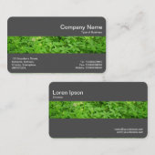 Middenband (DK Grey) - Ondergroei Visitekaartje (Voorkant / Achterkant)