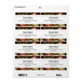 Middenband II - Fibre Optica Etiket (Full Sheet)