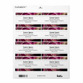 Middenband II - wervelkolom Etiket (Full Sheet)