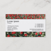 Middenband - Rode Tulpen en primrozen Visitekaartje (Achterkant)