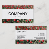 Middenband - Rode Tulpen en primrozen Visitekaartje (Voorkant / Achterkant)