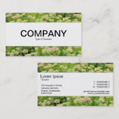 Middenband - Sedum (herfst Joy) Visitekaartje (Voorkant / Achterkant)