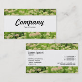 Middenband - Sedum (herfst Joy) Visitekaartje (Voorkant / Achterkant)