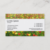 Middenband - Zee Tulpen II Visitekaartje (Achterkant)