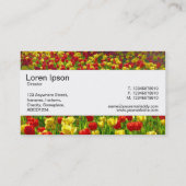 Middenband - Zee Tulpen Visitekaartje (Achterkant)