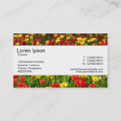 Middenband - Zee van Tulpen III Visitekaartje (Achterkant)