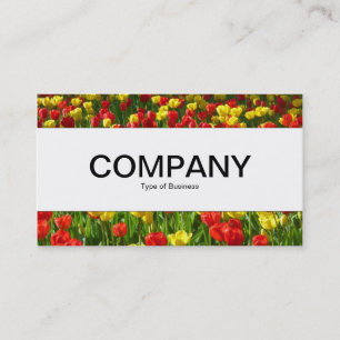 Middenband - Zee van Tulpen III Visitekaartje