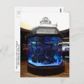 Middenboog vuurtoren vistank briefkaart (Voorkant / Achterkant)