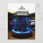 Middenboog vuurtoren vistank briefkaart (Voorkant)