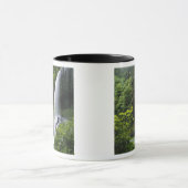 Middennoord herfst, Silver Herfsten State Park Mok (Midden)