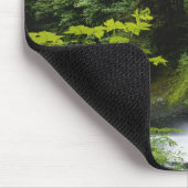 Middennoord herfst, Silver Herfsten State Park Muismat (Hoek)