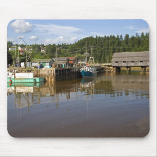 Middentij bij de Bay of Fundy bij St. Martins, New Muismat