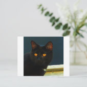 Middernacht Briefkaart (Staand voorkant)