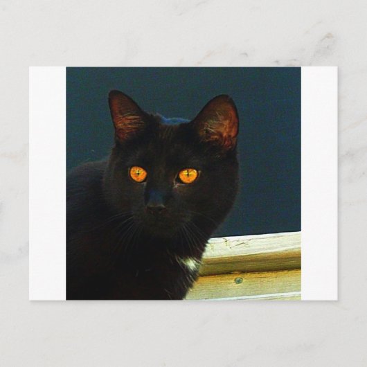 Middernacht Briefkaart (Voorkant)