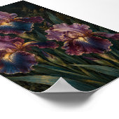 Middernacht Iris Studie Kunstprint Poster (Hoek)