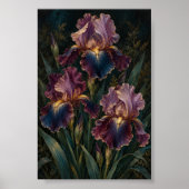 Middernacht Iris Studie Kunstprint Poster (Voorkant)