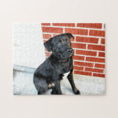 Middernacht Poseert Legpuzzel (Horizontaal)