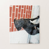 Middernacht Poseert Legpuzzel (Verticaal)