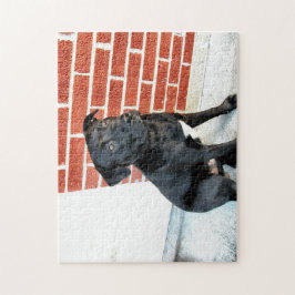 Middernacht Poseert Legpuzzel