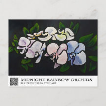 Middernacht Regenboog Orchideeën
