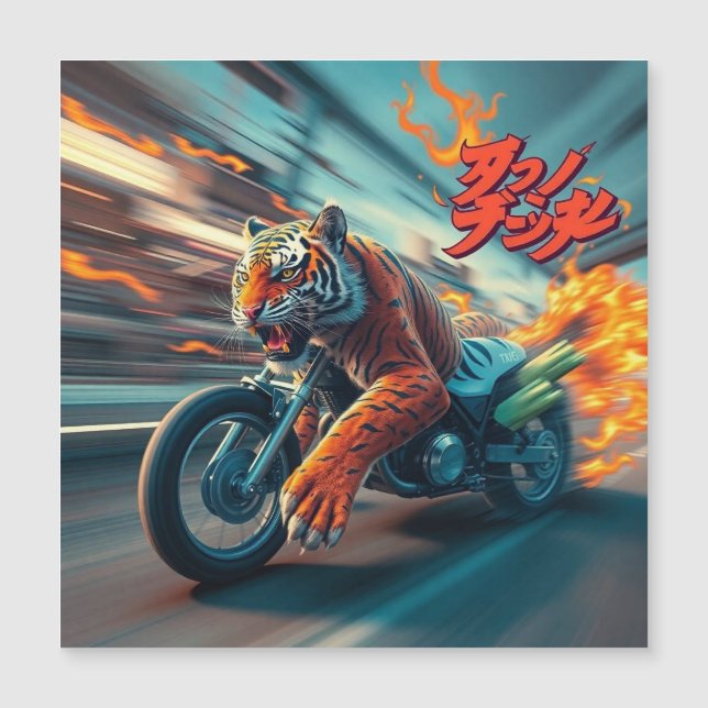 Middernacht Tijgerrijder (Voorkant)
