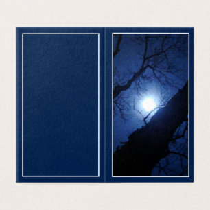 Middernacht Volle Maan Door Grote Boom Kaart