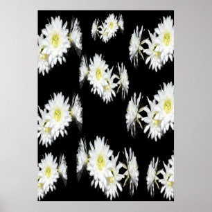 Middernachtbloesems: witte cactus bloemen op zwart poster