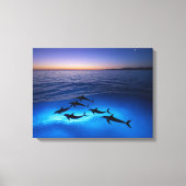Middernachtdolfijnen Canvas Afdruk (Voorkant)