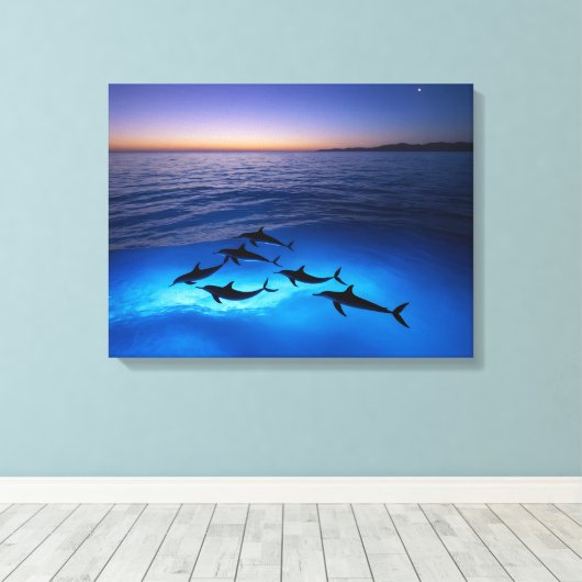 Middernachtdolfijnen Canvas Afdruk (Insitu (Houten vloer))