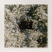 Middernachtelijke Bloeiende Katten Legpuzzel (Horizontaal)