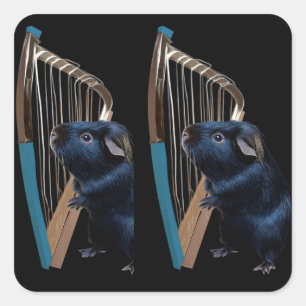 Middernachtserenade van de Abyssijn Vierkante Sticker