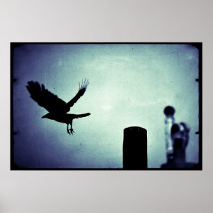 Middernachtvlucht van de Ekster Poster