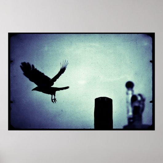 Middernachtvlucht van de Ekster Poster (Voorkant)