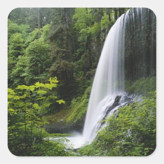 Middle North waterval, Silver Falls State Park, Vierkante Sticker (Voorkant)