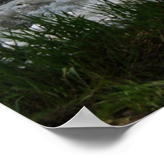 Middlebury-Herfsten in Middlebury, Vermont Poster (Hoek)