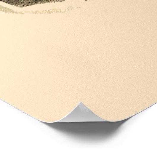 Middleville, NY Panoramic Map - 1890 Poster (Hoek)