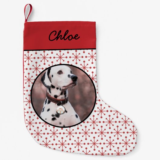 Mideeuw Modern Rood Starburst Patroon Pet Foto Kleine Kerstsok (Voorkant)