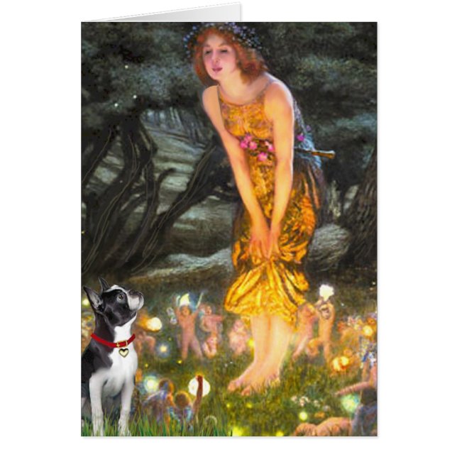 MidEve - Boston Terrier #2 (Voorkant)