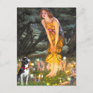 MidEve - Boston Terrier #2 Briefkaart