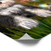 MidEve - Schnauzer (B) Poster (Hoek)